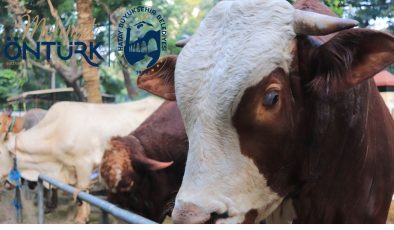 HBB’den kurban satış noktaları duyurusu