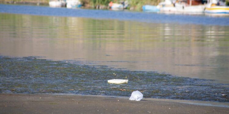 Beton atıkları nehre dökülüyor