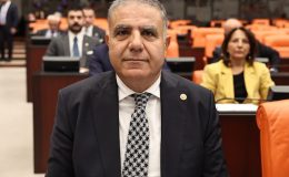 CHP’li Güzelmansur: “Harbiye şelaleleri can çekişiyor