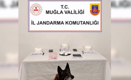 13 ilçede eş zamanlı baskın
