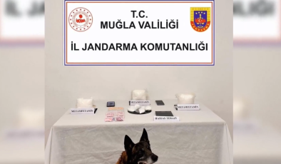 13 ilçede eş zamanlı baskın