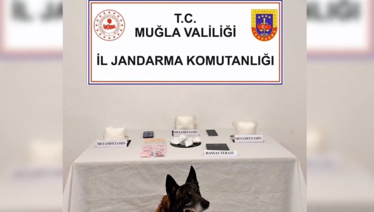 13 ilçede eş zamanlı baskın