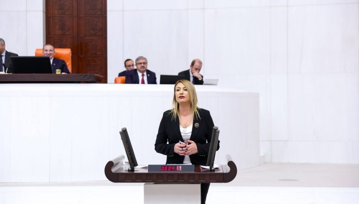 NERMİN YILDIRIM KARA; SESİMİZİ DUYAN VAR MI?