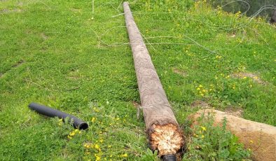 Antakya Karlısu’da Elektrik Kesintileri İsyan Ettirdi