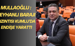 REYHANLI BARAJI SIZINTISI KUMLU’DA  ENDİŞE YARATTI