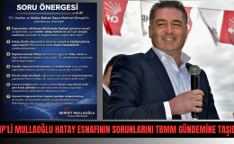 CHP’Lİ MULLAOĞLU, HATAY ESNAFININ SORUNLARINI TBMM GÜNDEMİNE TAŞIDI